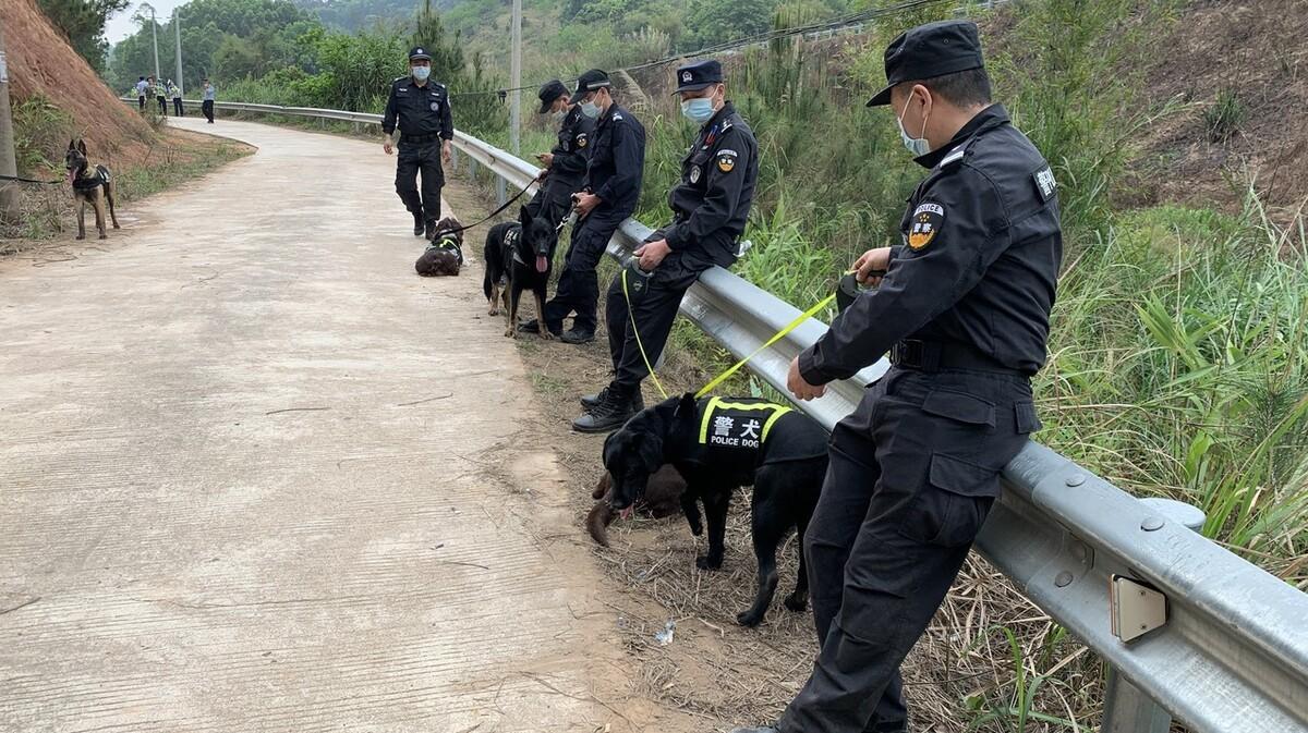 东航坠机原因最新消息及背后的温馨日常故事揭秘