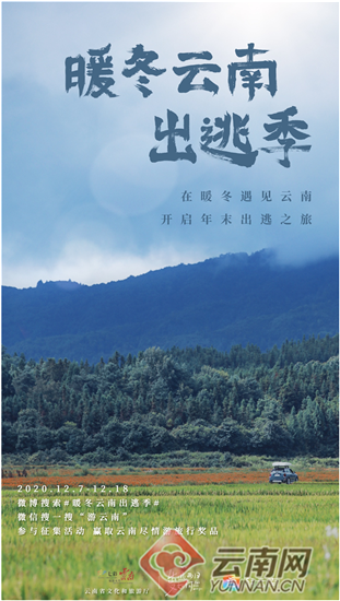 宁阳最新新闻探索自然美景之旅，追寻内心的平和